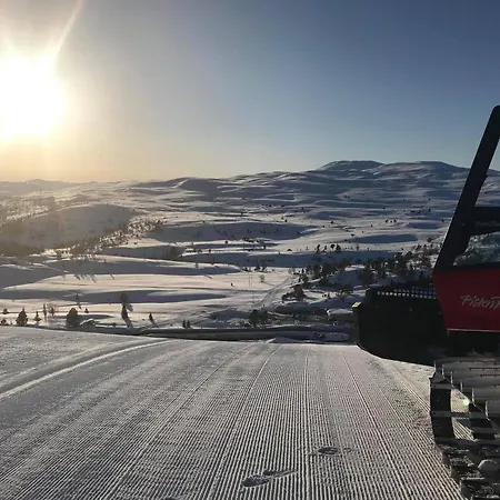 فيلة Lilleheim Reed