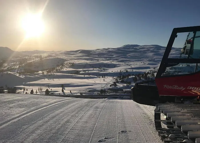 Villa Lilleheim Reed